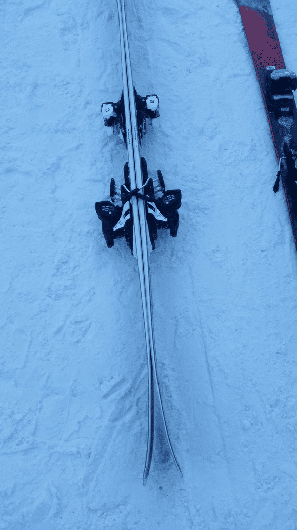 BC Justis ii.jpg.png