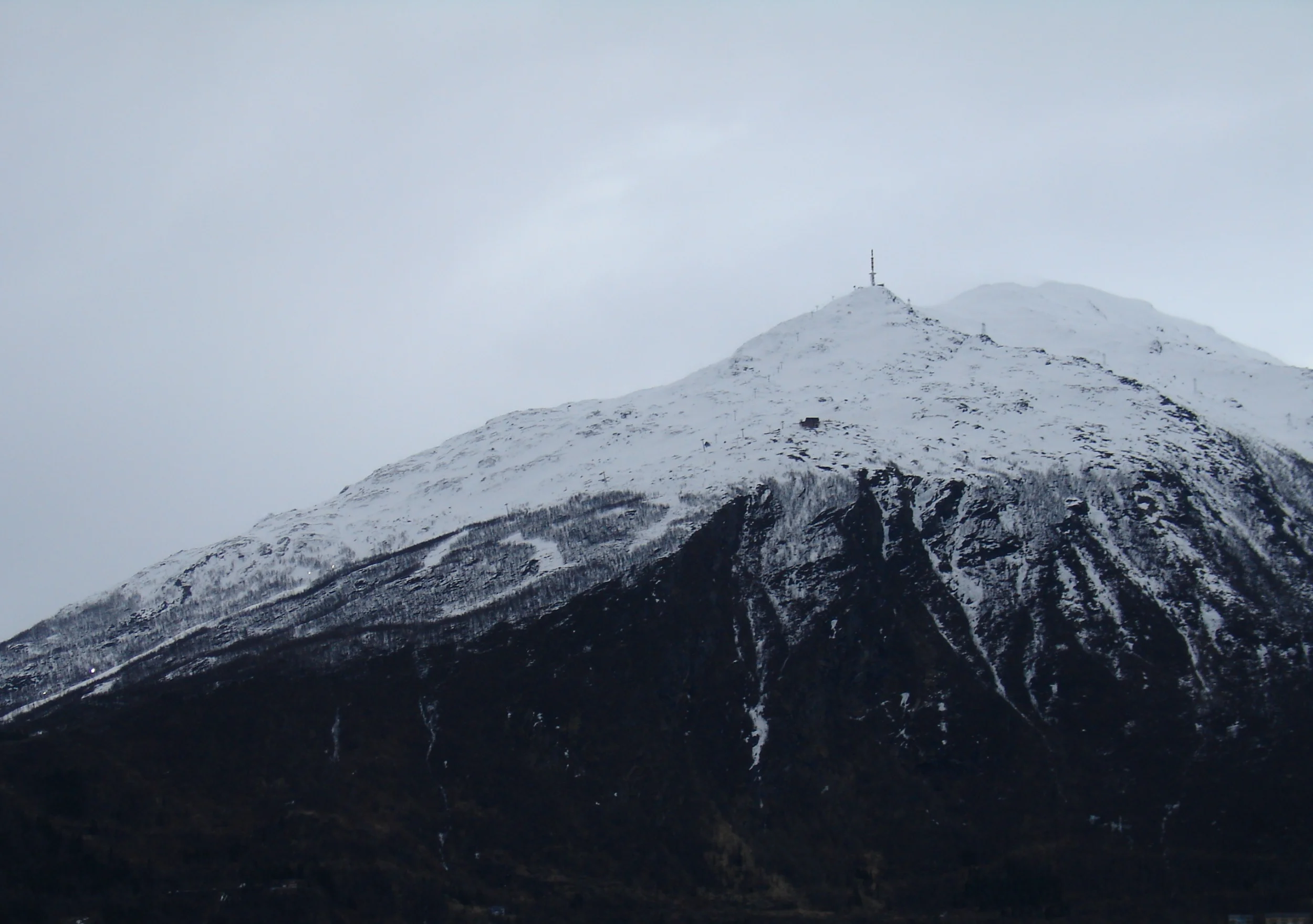 DSC01306 - kopia.webp