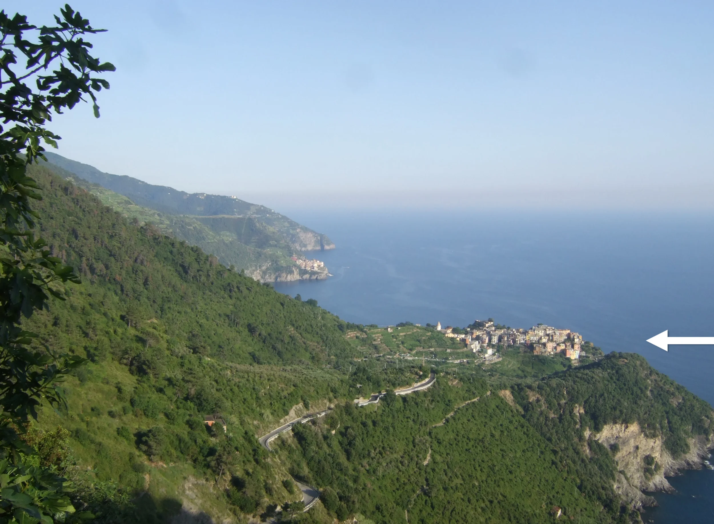 DSCF6828.webp