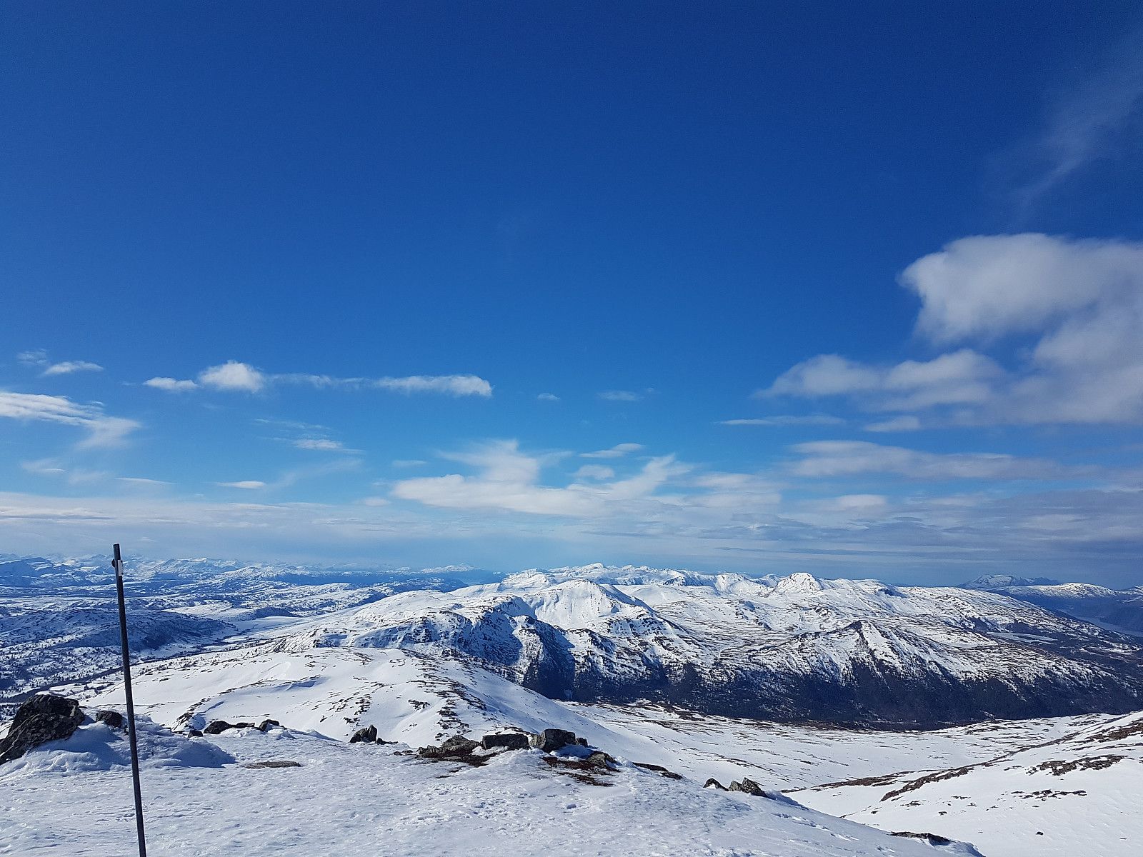 fredriks_20240330_66087eb471529 - Copy.jpg