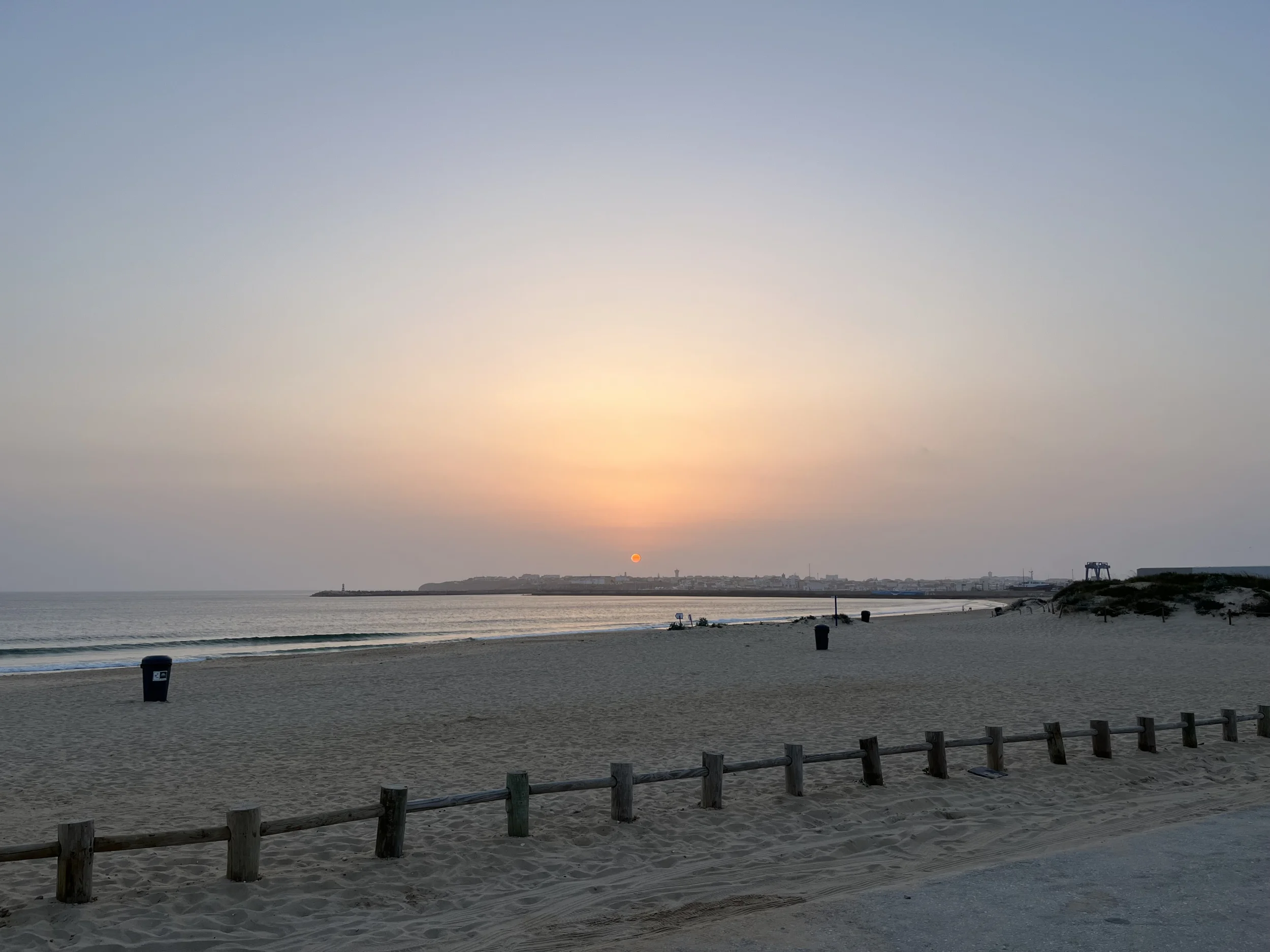 IMG_8374.webp
