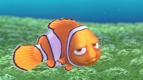 nemo.jpg