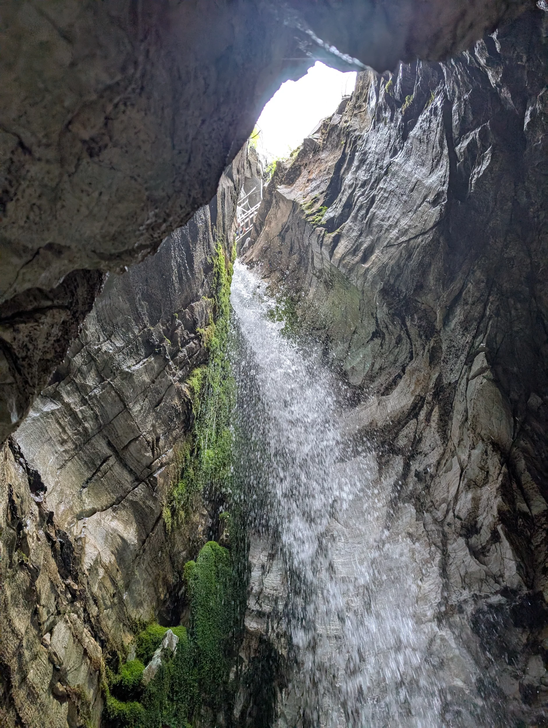 PXL_20250704_111143671 - Copy - Copy.webp