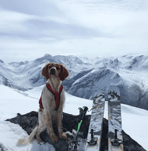 Skärmavbild 2021-01-17 kl. 15.58.16.png