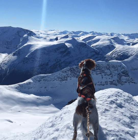 Skärmavbild 2021-02-09 kl. 18.22.14.png