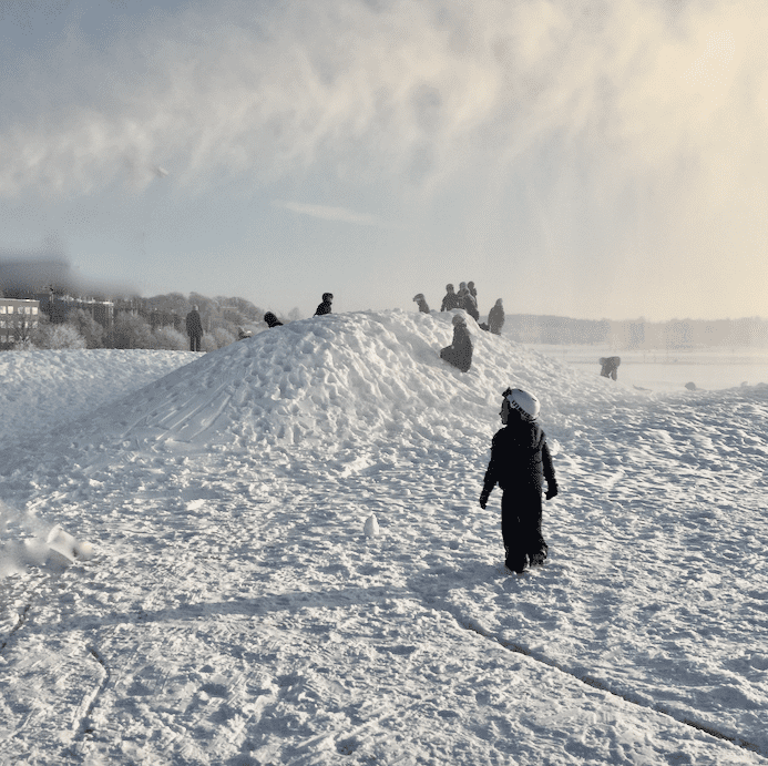 Skärmavbild 2021-04-02 kl. 14.24.35.png