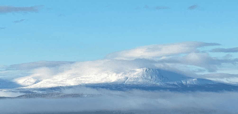 Skärmavbild 2021-04-08 kl. 18.06.53.png