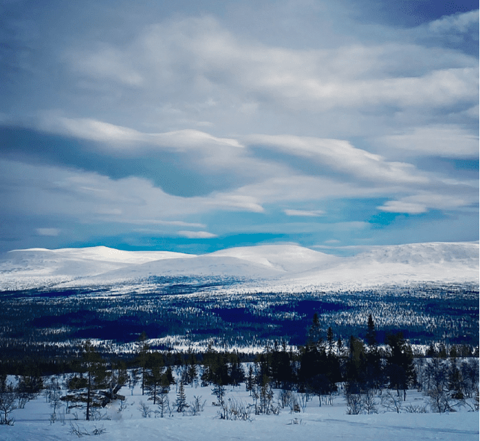 Skärmavbild 2021-04-19 kl. 10.46.24.png