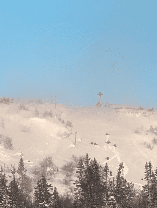 Skärmavbild 2022-02-07 kl. 08.05.00.png