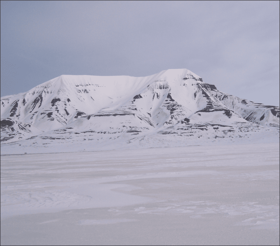 Snap 2021-02-06 at 15.11.00.png