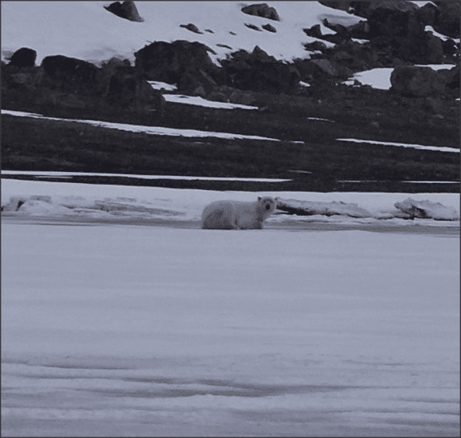 Snap 2021-02-06 at 16.40.48.png