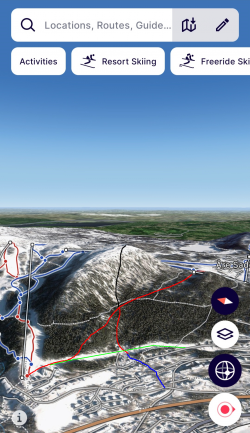 Totthummeln 1PNG.png