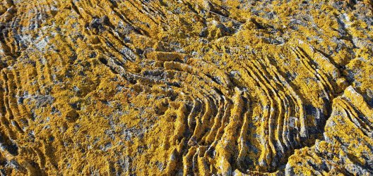 Varl ligger detta berg.jpg