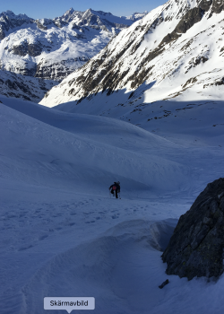 Skärmavbild 2021-12-04 kl. 12.50.43.png