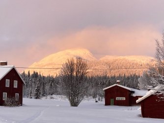 D0121CC9-DE66-4367-90DA-66B72BC212C5.jpeg