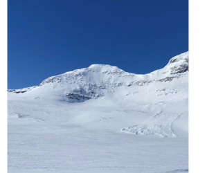 Screenshot 2022-01-16 at 15.15.21.png