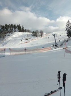 Stupet Kvisthamra.jpg