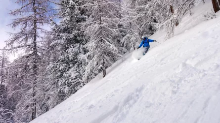 2025-01-28 E Fornet.webp