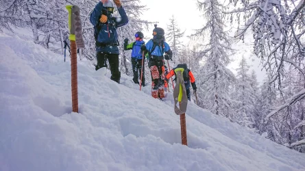 2025-01-28 J Fornet.webp