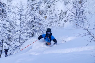 2025-01-29 B Fornet.webp