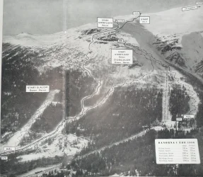 VM 1954.webp