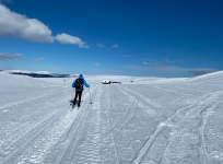 Skärmavbild 2021-03-25 kl. 18.26.21.png