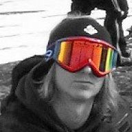 Bull_SWE