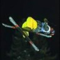 skogsbo