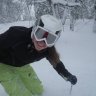 amandahaavik