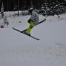 Swedish_skier