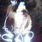 Assar90