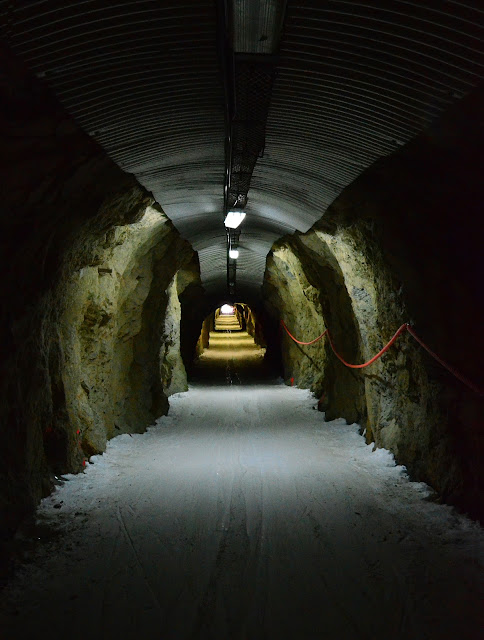 blog90_tunnel1.jpg