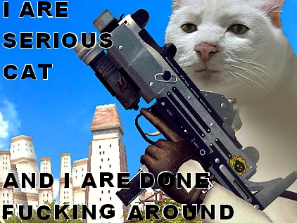 serious.cat.fucking.around.jpg