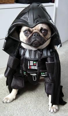 darth_pug.jpg