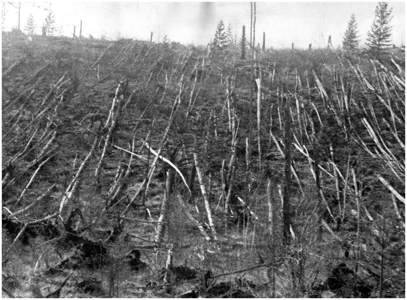 tunguska.jpg