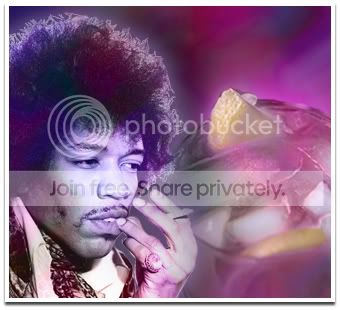 purplehaze.jpg