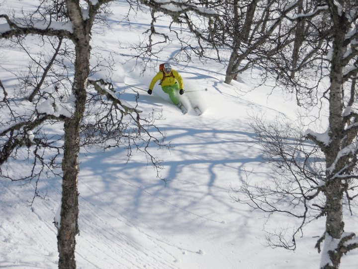 30 Mars 2011. Foto: Lennart Karlström. Åkare: Stefan Ek.