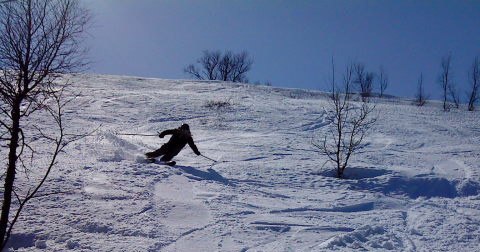 Foto: Lina. Åkare: Henke Norin.