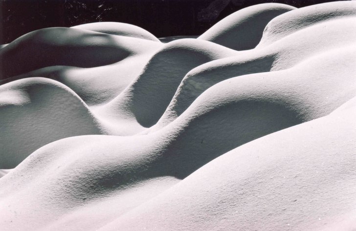 Foto: Fredrik Johansson.