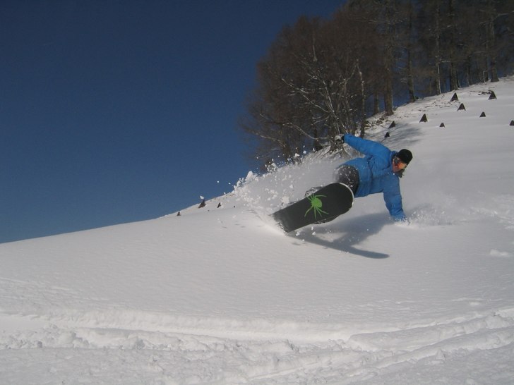 Foto: Victor valnöt. Åkare: Anders Norström.