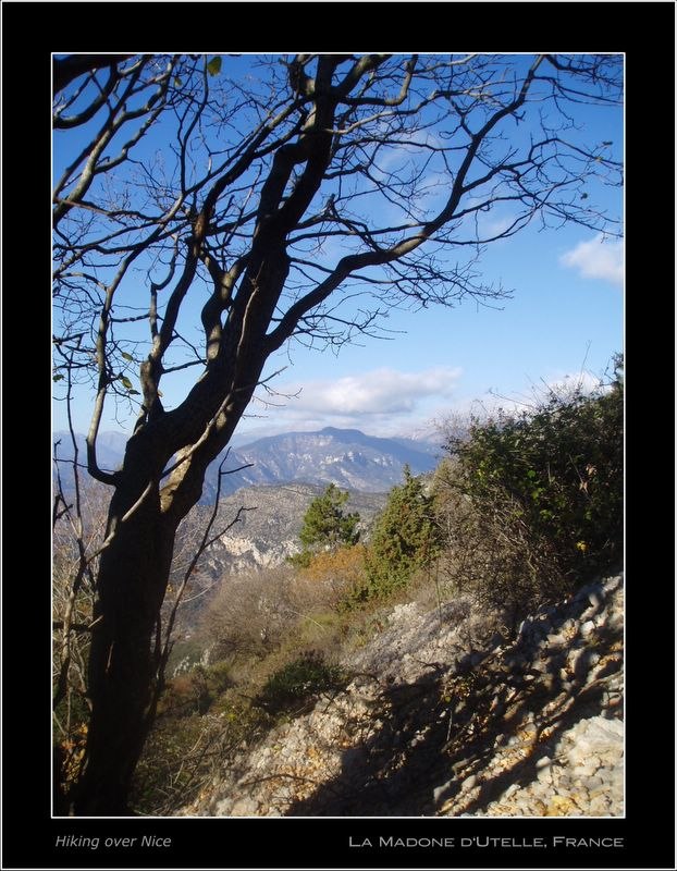 Foto: Edouard Drogou.