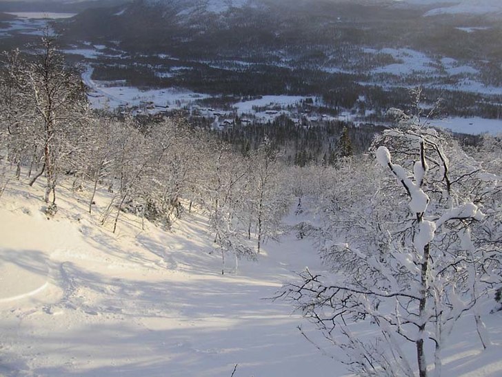 Foto: Daniel Lindblom.