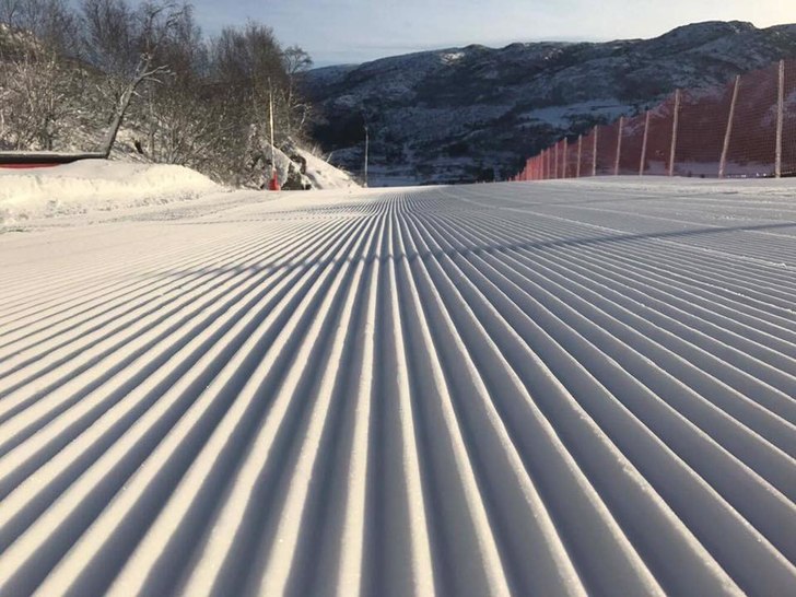 Nysnø og sol!
Etter gårsdagens snøfall med 30 g.