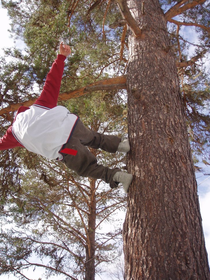 skön vinkel . Foto: Kenneth Jonsson. Åkare: Stefan Persson.