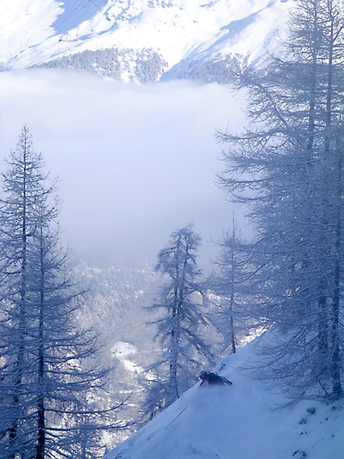 En dag med väldigt speciellt ljus i skogen. Foto: Johan Hellman. Åkare: Daniel Furberg.