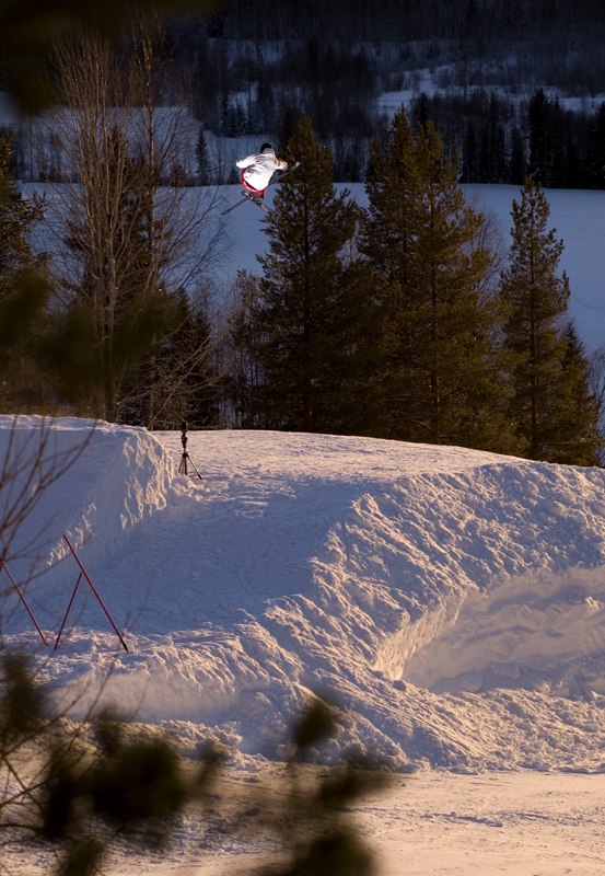 Nosemute . Foto: Johan Wennerström. Åkare: Jens Nyström.
