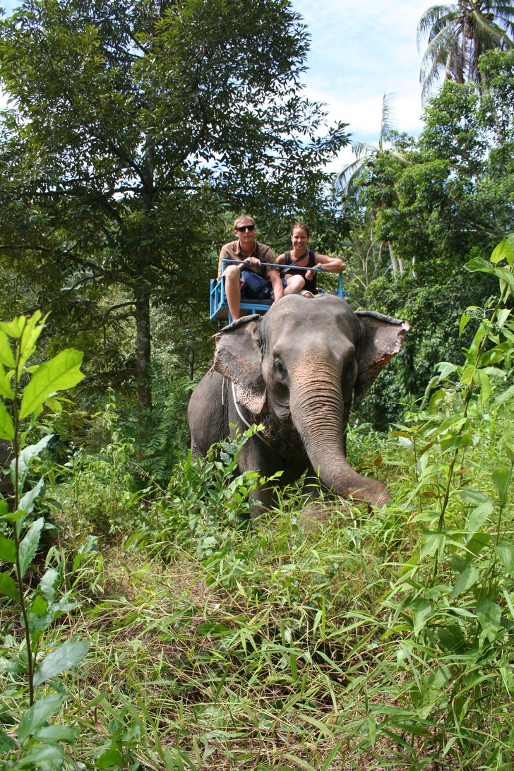 Synd att djurhållningen i thailand inte håller s. Foto: Guiden. Åkare: Jag och Åsa.