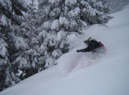 Foto: Maria Carrick. Åkare: Cilla Kjellberg.