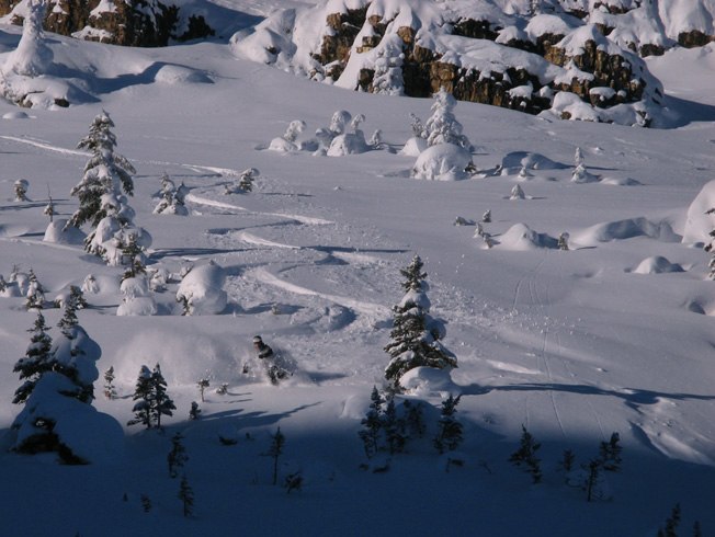 Nyårsafton. Kallt. Lätt. Vi älskade Jay. Sen dr. Foto: Olle Sjölin. Åkare: Jay.