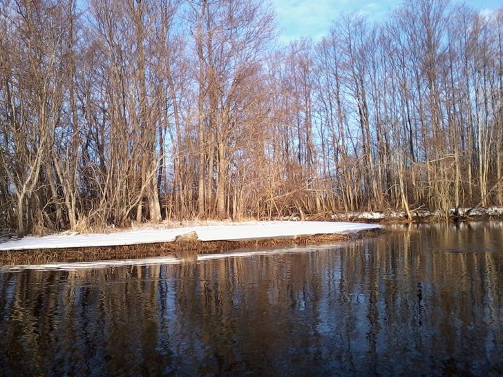 Foto: ian Archibald.